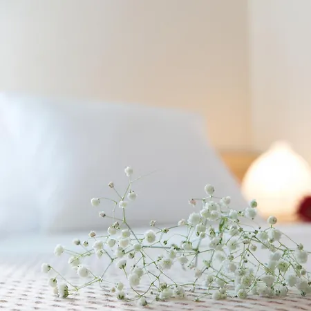 Willa Anthemis Luxury *