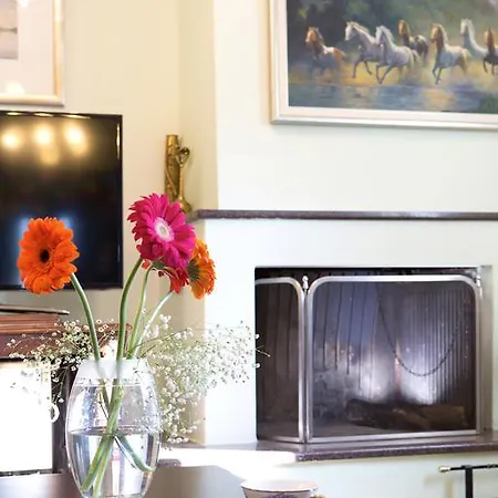 Anthemis Luxury 别墅 *