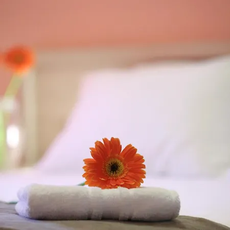 Anthemis Luxury
